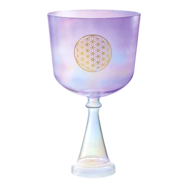 Meinl CSC8FPFOL Crystal Singing Chalice 8&quot;